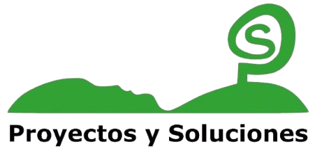 Proyectos y Soluciones